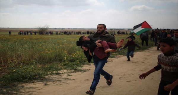 12 شهيداً و 1272 إصابة قرب حدود قطاع غزة
