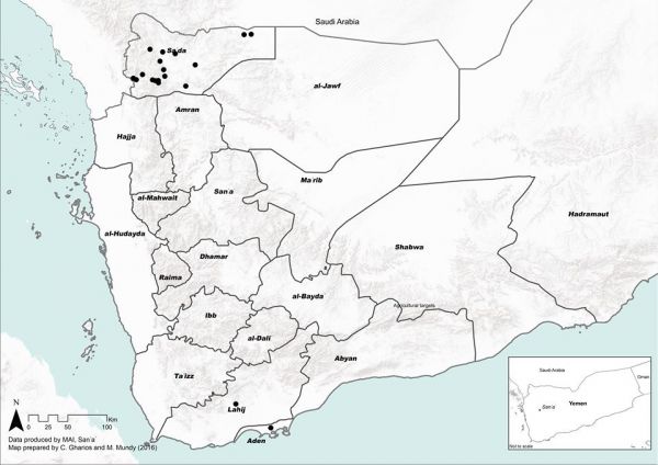 تقرير لمؤسسة أمريكية يكشف كيف أثرت إستراتيجية التحالف على اليمنيين (ترجمة خاصة)