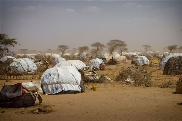  مقتل لاجئ يمني في الصومال على يد حراس تابعين للأمم المتحدة