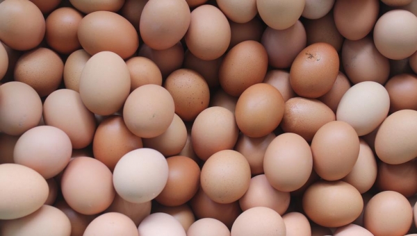 أكل 41 بيضة.. هندي يفقد حياته في رهان مع غريمه