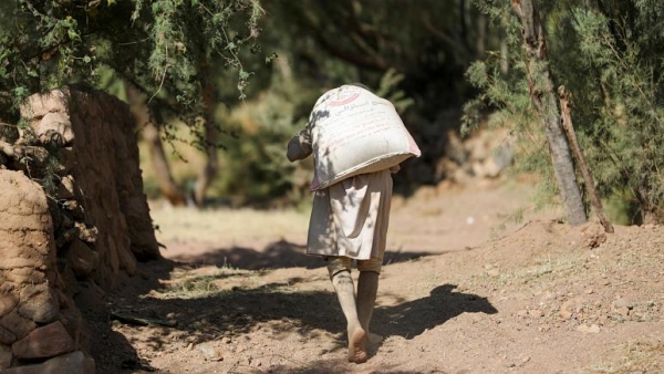 العسل اليمني يعاني صعوبات كثيرة جراء تواصل الحرب