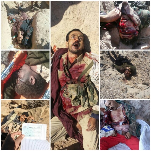 بالصور والفيديو.. قتلى وجرحى وأسرى حوثيون بيد الجيش في جبهة حريب نهم