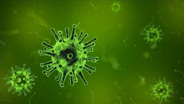 الإمارات تسجل خامس إصابة بفيروس كورونا