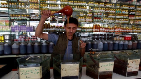 العسل اليمني.. الحرب تقضم تصديره رغم جودته
