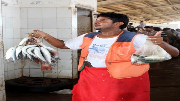 إنتاج الأسماك في اليمن يهوي بأكثر من 65%