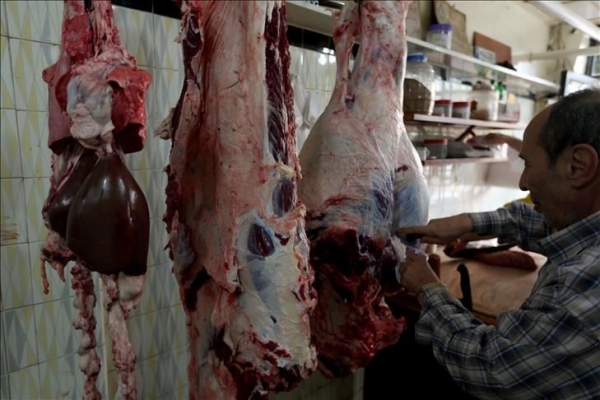 هندي مسلم يتعرض لاعتداء بزعم أنه ينقل لحم بقر