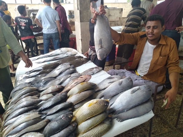 ارتفاع أسعار الأسماك في عدن يُحرم غالبية المواطنين منها