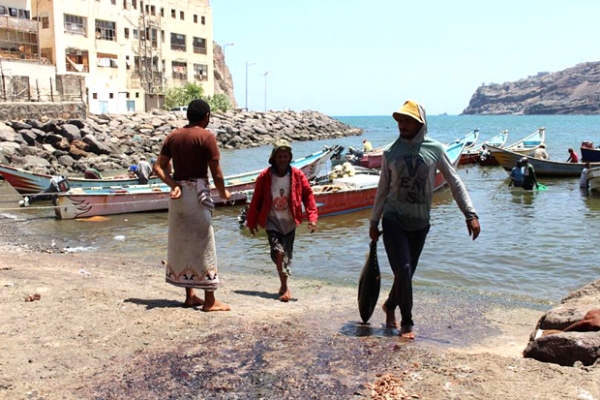 تعرض صيادين لإطلاق نار ومصادرة الأسماك.. - جمعية في عدن تناشد لإنقاذ الصيّادين من تعسفات الانتقالي