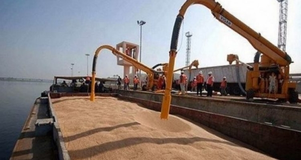 أوكرانيا تؤكد إرسال 90 ألف طن من القمح إلى إثيوبيا واليمن