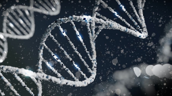 خارطة جديدة للجينوم البشري تفتح آمالا لثورة طبية في المستقبل