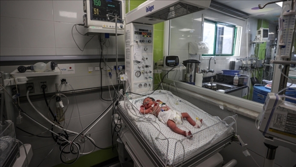 "أونروا": نكافح لرعاية أكثر من 50 ألف حامل في غزة