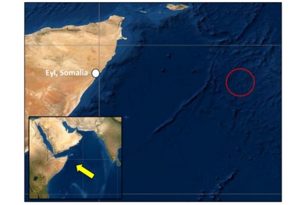 البحرية البريطانية: مسلحون يستولون على سفينة تجارية قبالة الصومال