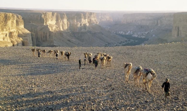 التايمز البريطانية: اليمن السعيد الذي عرف لعصور أصبح أبعد ما يمكن عن السعادة (ترجمة خاصة)