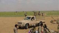 مصدر عسكري بحرض : العملية العسكرية الواسعة مستمرة حتى تطهير ساحل تهامة من الإنقلابيين