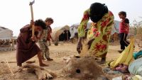 الأمم المتحدة تسعى لتوسيع عملها في جنوب اليمن