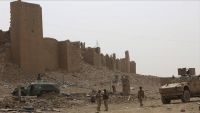 الجيش الوطني يعلن مقتل 22 قياديا حوثيا خلال أسبوع