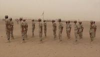 قوات الصقور.. ذراع الإمارات في مأرب اليمنية