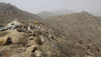 موقع بريطاني: مهربو القات المراهقون اليمنيون فريسة لحرس الحدود السعودي