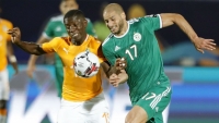 الجزائر تزيح ساحل العاج عن الطريق وتضرب موعدا مع نيجيريا في نصف النهائي