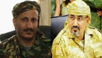 اليمن.. حين يتحالف "الأعداء" لخدمة الإمارات
