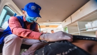 "الهجرة الدولية" تدرب أكثر من 300 ألف عامل صحي في اليمن خلال 2019