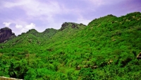 جبل بُرع بالحديدة.. مصور يوثق بقايا غابات شبه استوائية مذهلة
