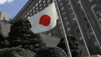 اليابان تعلن تقديم 23 مليون دولار استجابة للاحتياجات الإنسانية في اليمن
