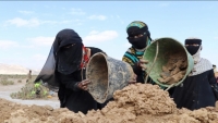 اليمن.. 500 امرأة يتقاسمن العمل في إنتاج الملح البحري بحضرموت