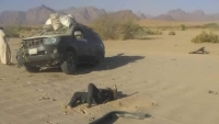 مقتل وإصابة ثمانية مواطنين بانفجار الغام زرعها الحوثيون في مأرب وحجة