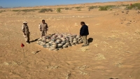 اتلاف 450 لغما زرعها الحوثيون في شبوة
