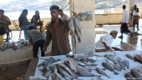 الساحل اليمني يفقد وجبته الأساسية.. قطاع الأسماك يواجه تحديات