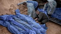 أكاديمية بريطانية تحذر من احتمال موت ربع الفلسطينيين بسبب الأوبئة