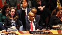 بعد "فيتو" أمريكي.. مجلس الأمن يفشل في قبول عضوية فلسطين بالأمم المتحدة