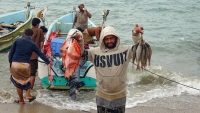 عودة 17 صياداً يمنياً من سجون إريتريا بعد أسابيع من الاحتجاز