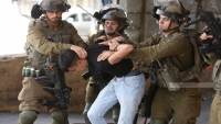 الاحتلال الاسرائيلي يعتقل 20 فلسطينياً من الضفة