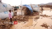 الحديدة.. وفيات وتضرر أكثر من 1200 أسرة جراء السيول